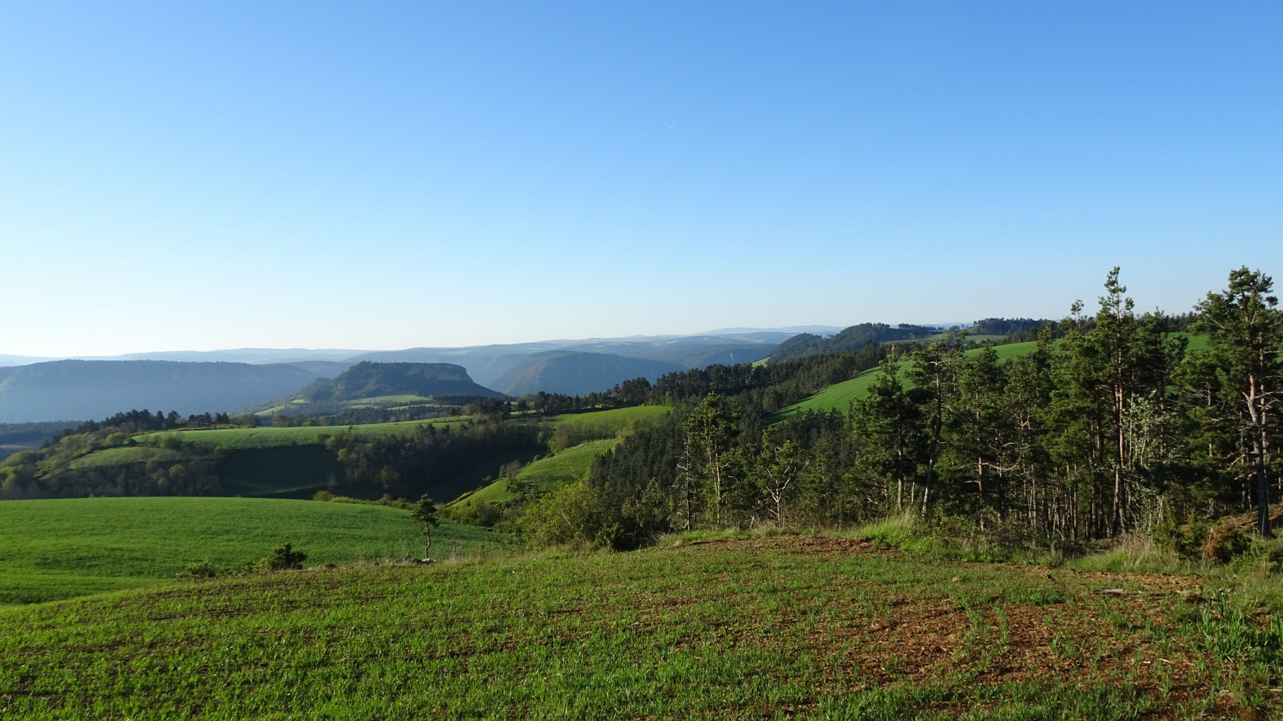 Paysage environnent