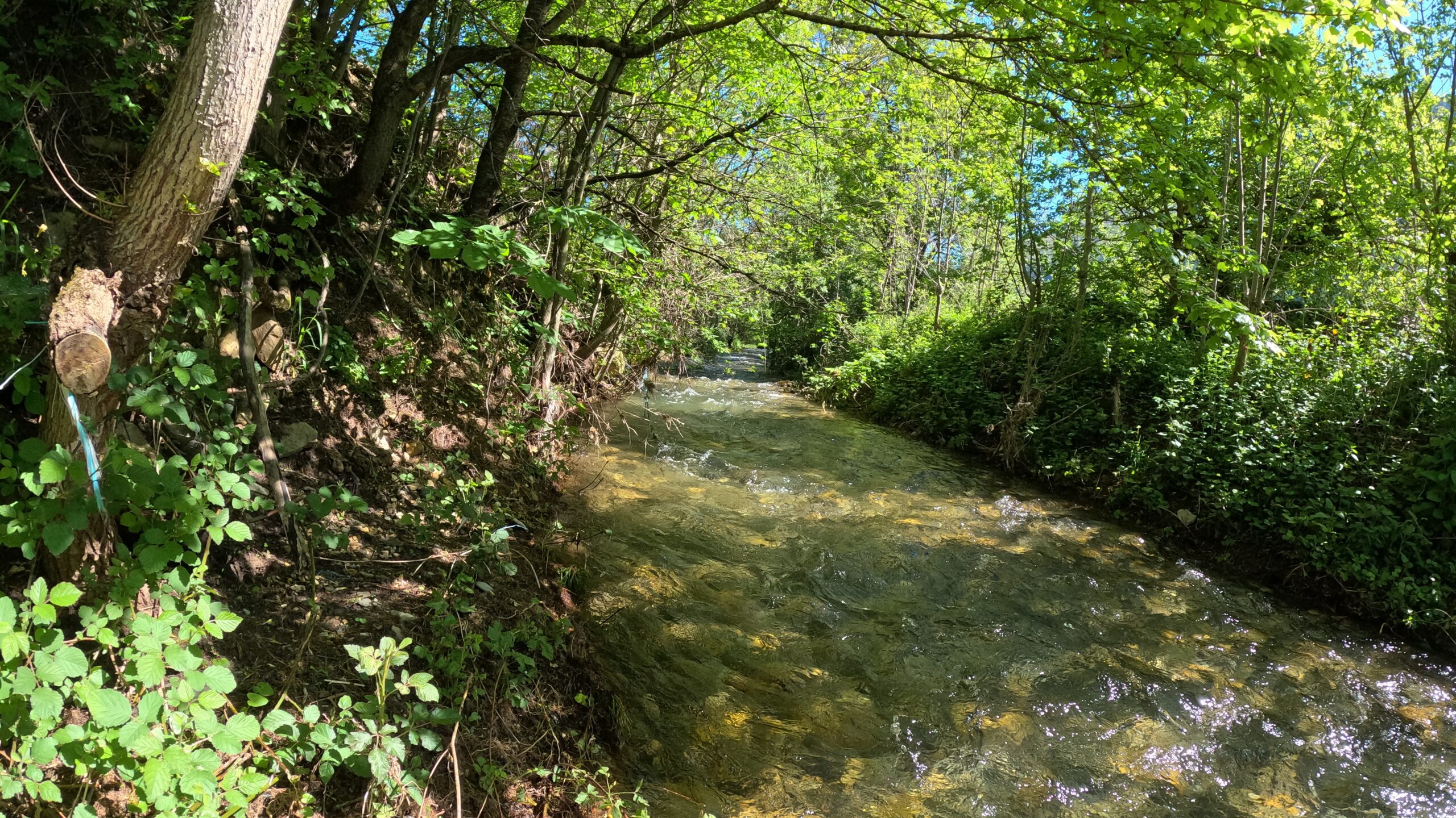 La Ginéze